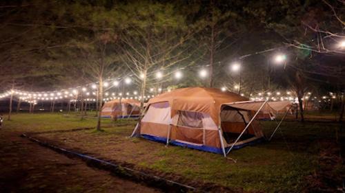 Java Other | Tanjung Cemara Karang Tirta