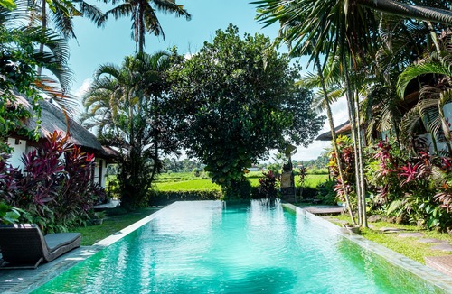 Ubud Villa | Two-Bedroom Villa with Rice-fields view Ubud