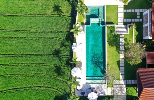 Pererenan Villa | Villa Manis Canggu