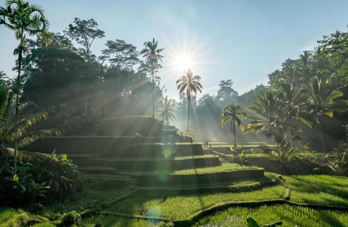 Lodtunduh Villa | Villa Ubud Bali Indonesia a modern retreat with pool, ideal for families