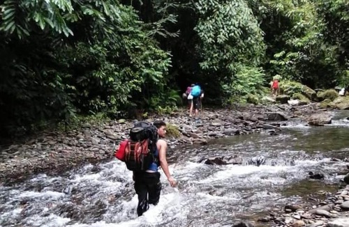 Bukit Lawang House | Village Inn & Guest House
