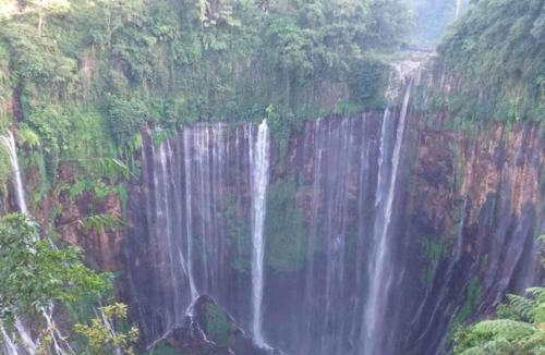 Klojen House | villas in batu indonesia homestay