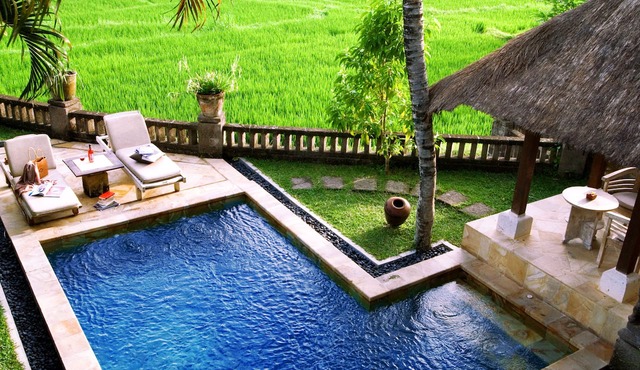 2 bedroom family pool villa in ubud