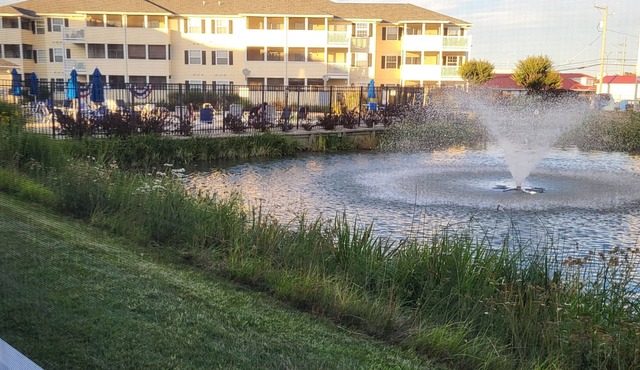 2103 Palms, 2-bedroom condo, Great Fall Weekends are still available in Rehoboth Beach