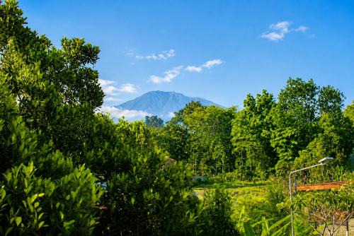 Adyara Homestay
