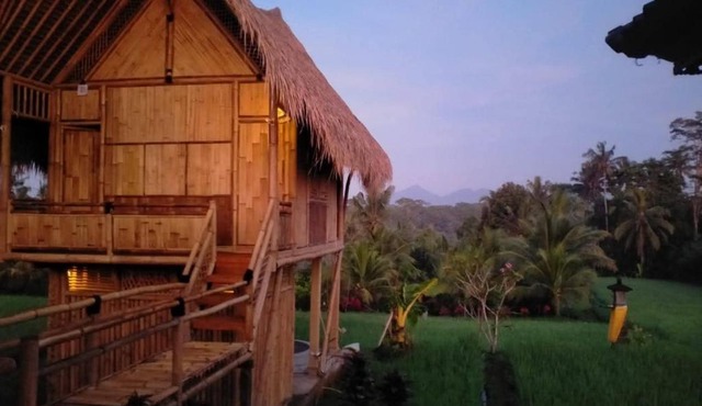 Aska Bamboo House