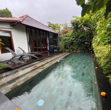 Badra House Hibiscus