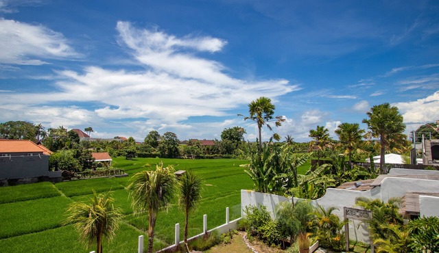 Brand new villa - Ricefield View, Canggu + Rooftop