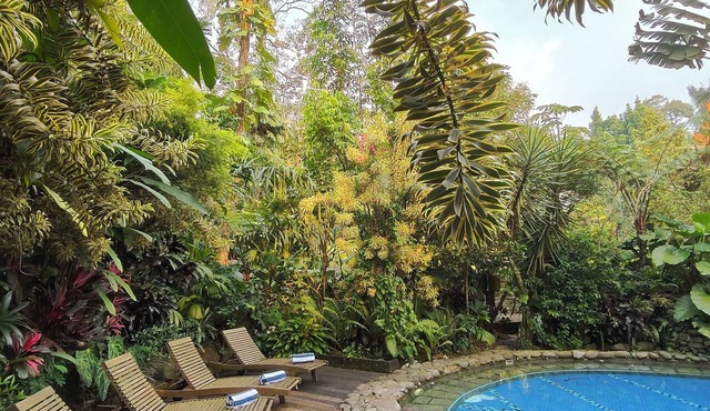 Dhamanadi Boutique Resort