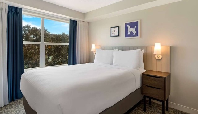 Explore the City! Studio Suite w/Free Breakfast, Free Shuttle, Full Kitchen! in South San Francisco