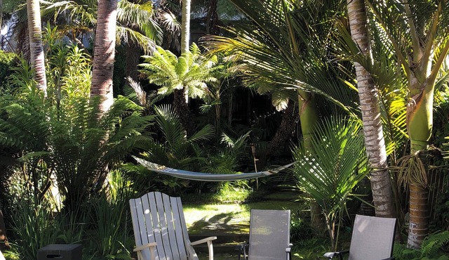 Gorgeous oasis, 4-bedroom house in San Francisco, walking distance to the bay. in San Francisco