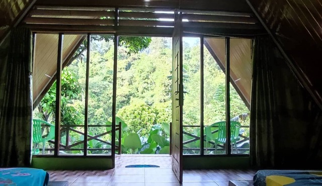 Green Forest Tangkahan in Batang Serangan