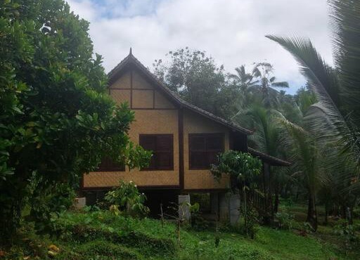 Jungle Haven - Private Riverside in Selemadeg
