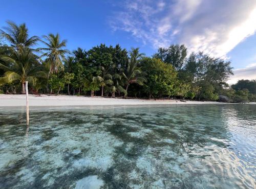Kemmi Homestay Raja Ampat