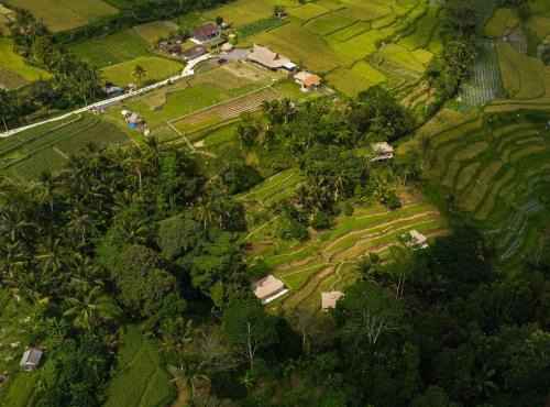 Nadi Nature Resort - Adults Only