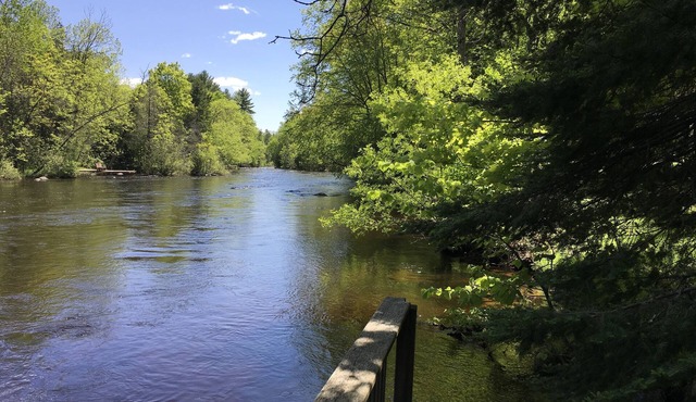 Oconto River Retreat in Suring