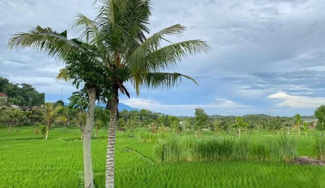 Pandan Dure House