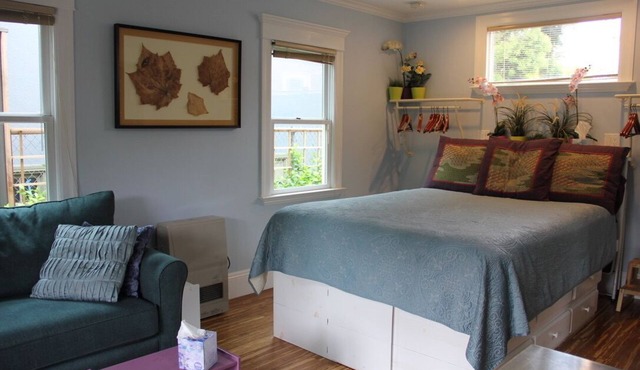 Peaceful backyard studio cottage. 5 min. to Ashby BART; free off street parking in Oakland