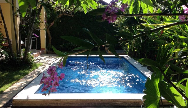 Private 3-bedroom house with tropical garden and pool