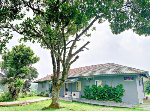 Rumah Selasar Sawah in Bogor