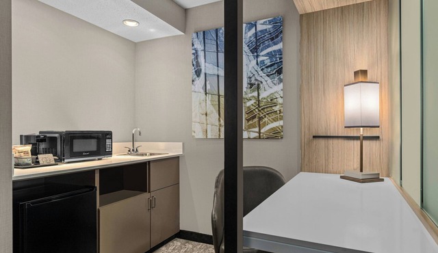 Springhill Suites Minneapolis St Louis Park by Marriott in St. Louis Park