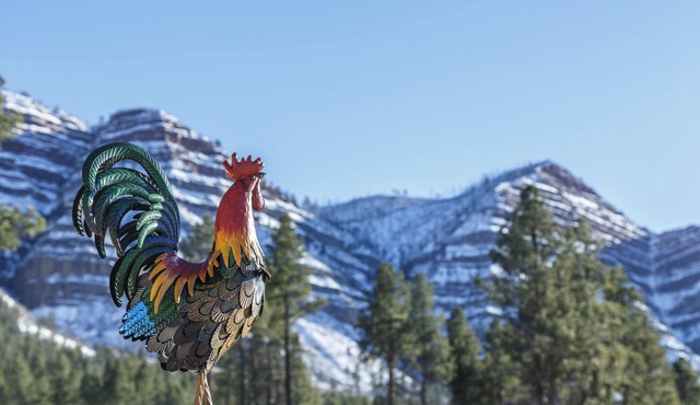 The Rustic Rooster Inn, Breathtaking Views, Between Downtown Durango & Purgatory in Durango