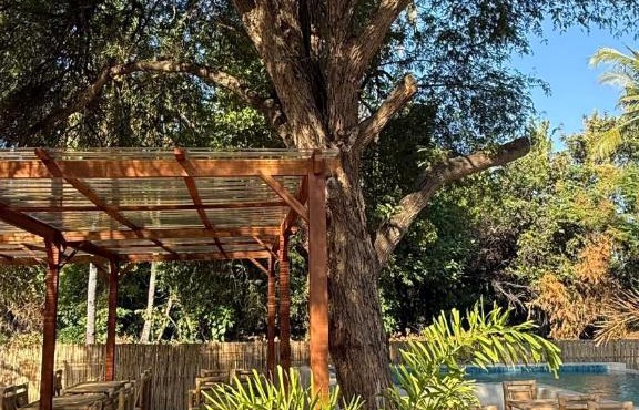 The Tree Poolbar&Resort in Gili Islands
