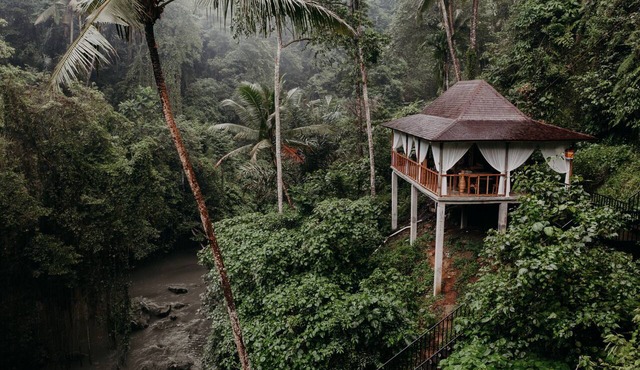 Tropical Pool For Large Groups Ubud Retreat