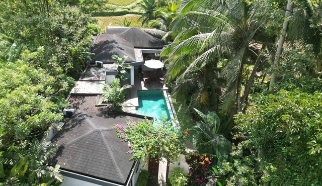 Villa 2ch-Ubud-piscine-Jungle rivière & rizière