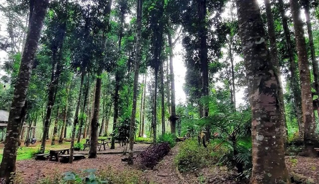 Youlien Campsite Bandung