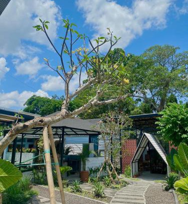 Pererenan Hostel | The Jungle Hostel Canggu