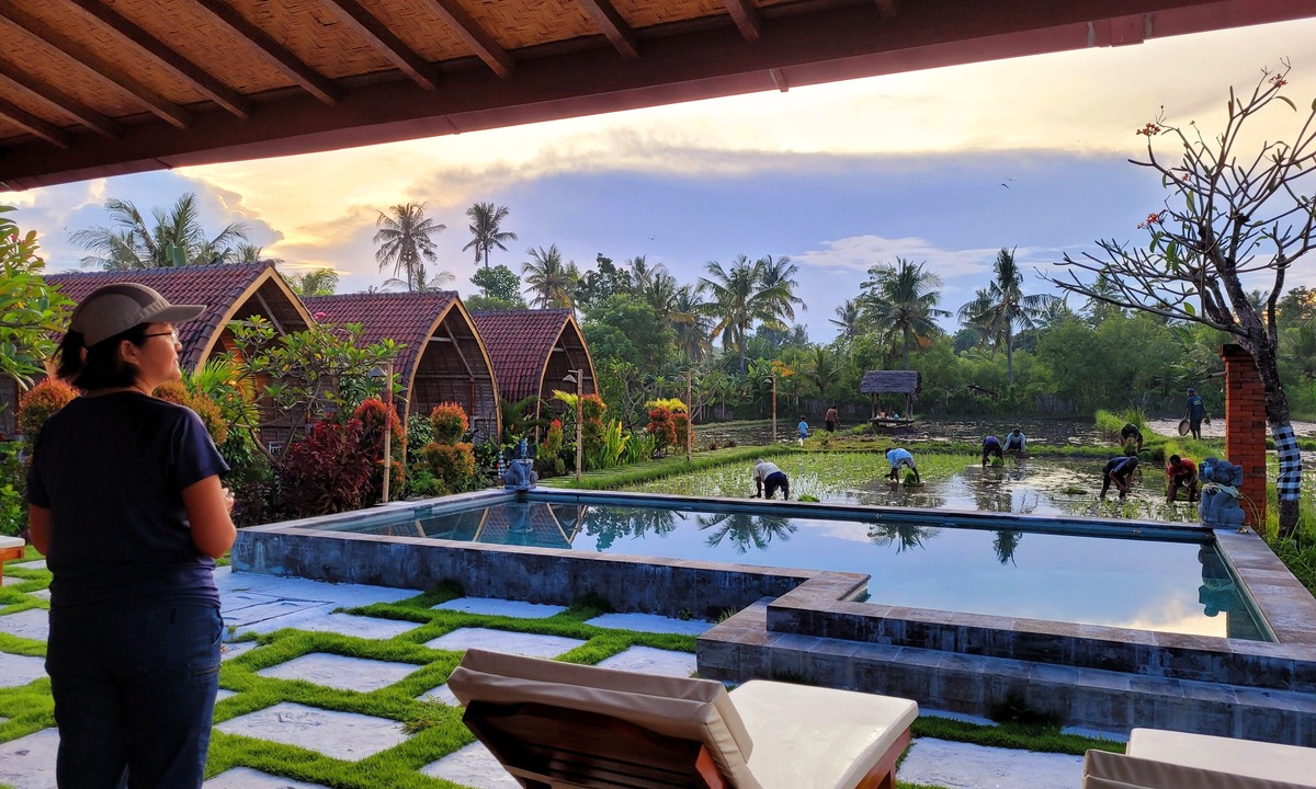 Goris House | Umma Bali Menjangan