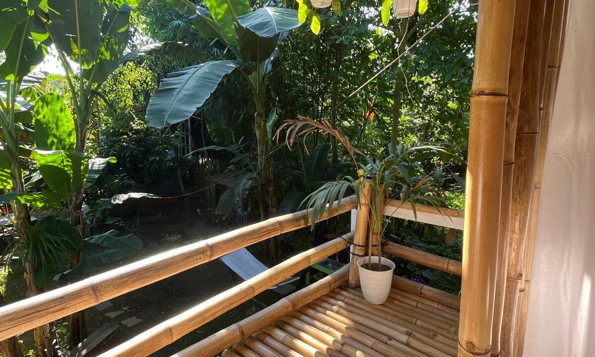 Mataram Hostel | hijau