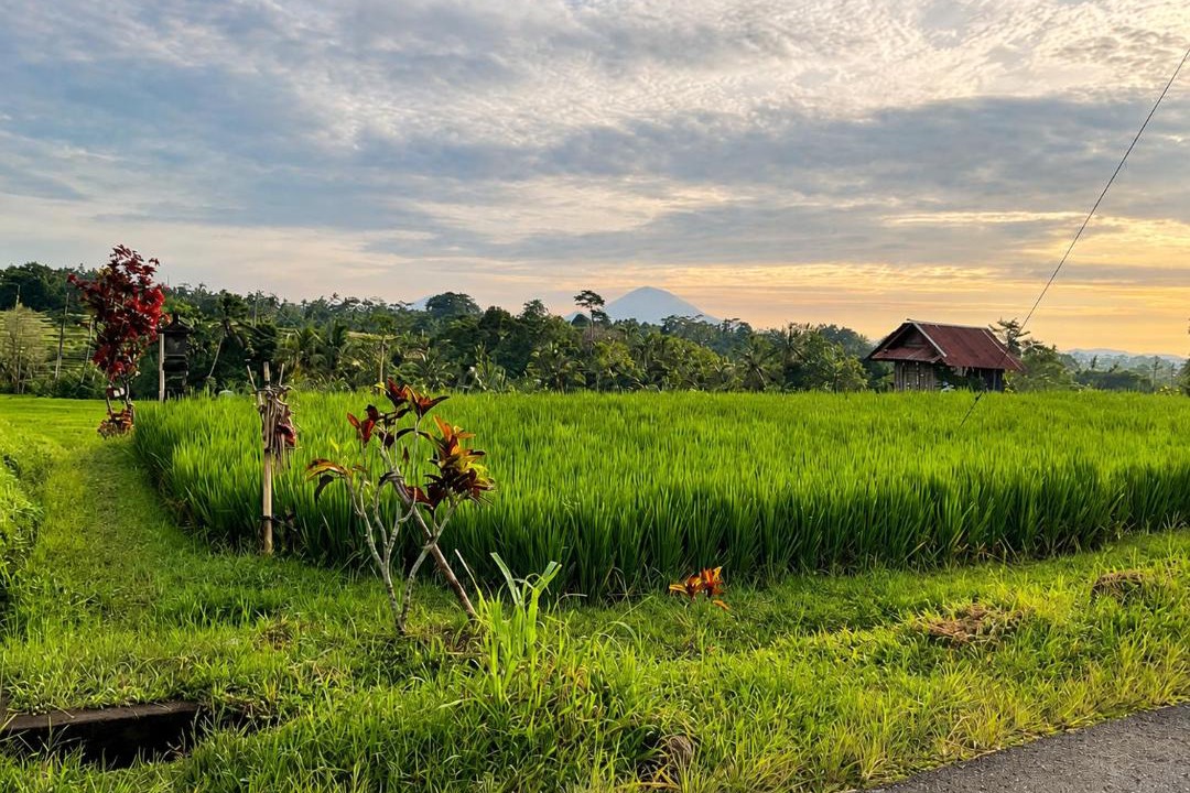 Penebel House | Buana Asti Homestay Retreat Batukaru