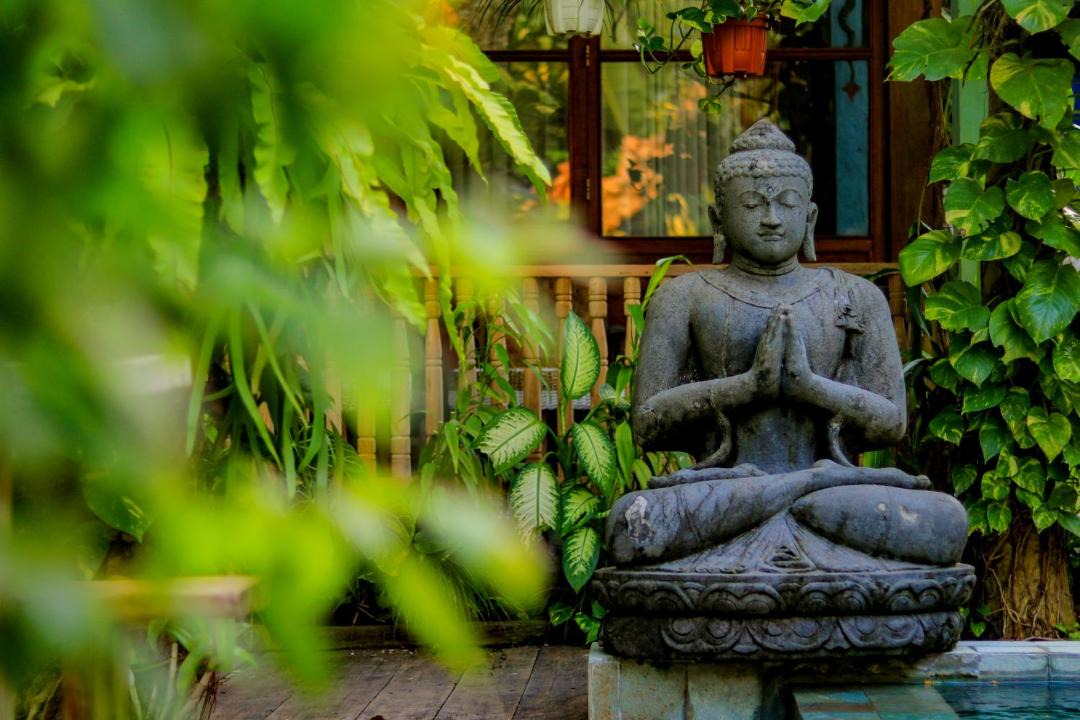 Bangunjiwo House | Kalipura Villa - Private Pool & Nature Escape