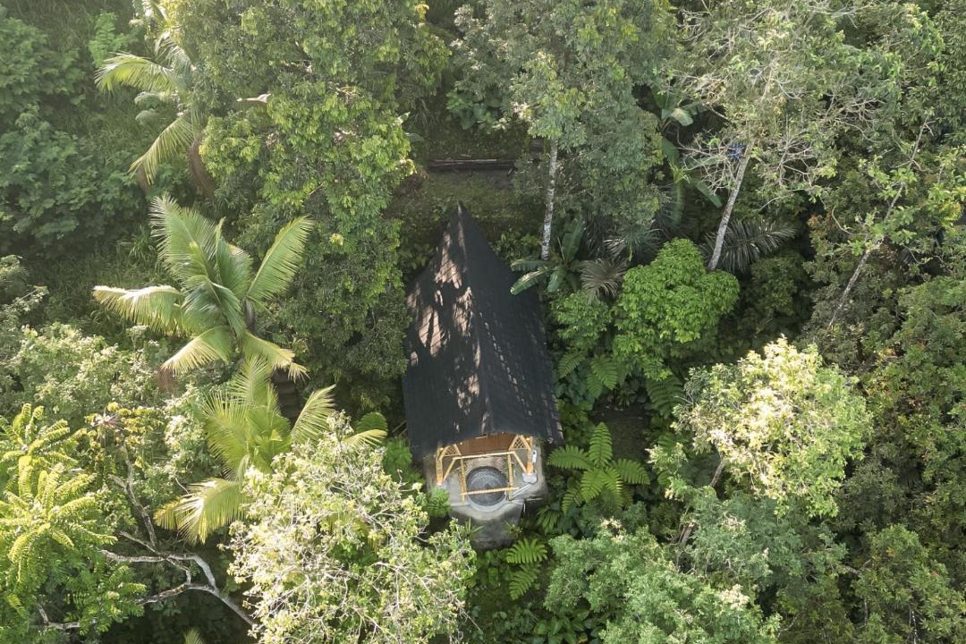 Susut Cabin | Alasari Hidden Bamboo Retreat in the Jungle