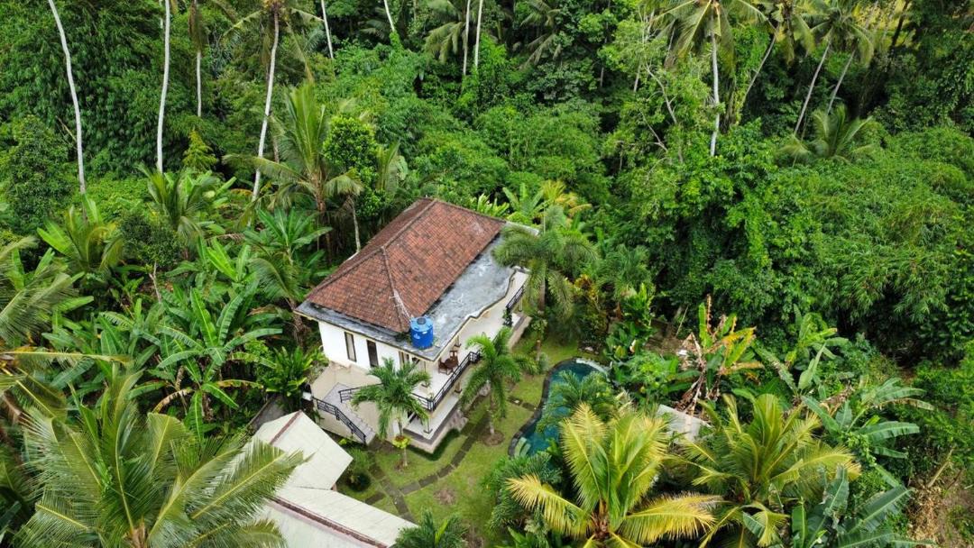 Melayang House | Junjungan Guest House New Brand