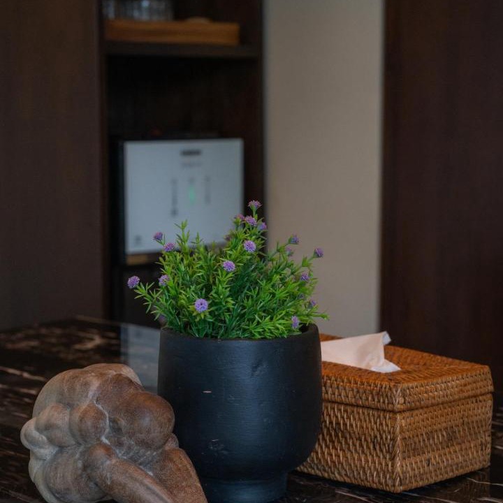 Mas Villa | Ruya Villa Ubud
