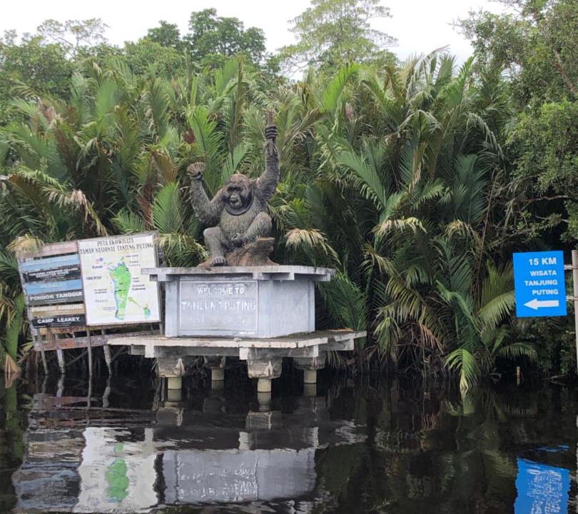 Kumai Boat Rental | Shankara Orangutan Kelotok Cabin Houseboat