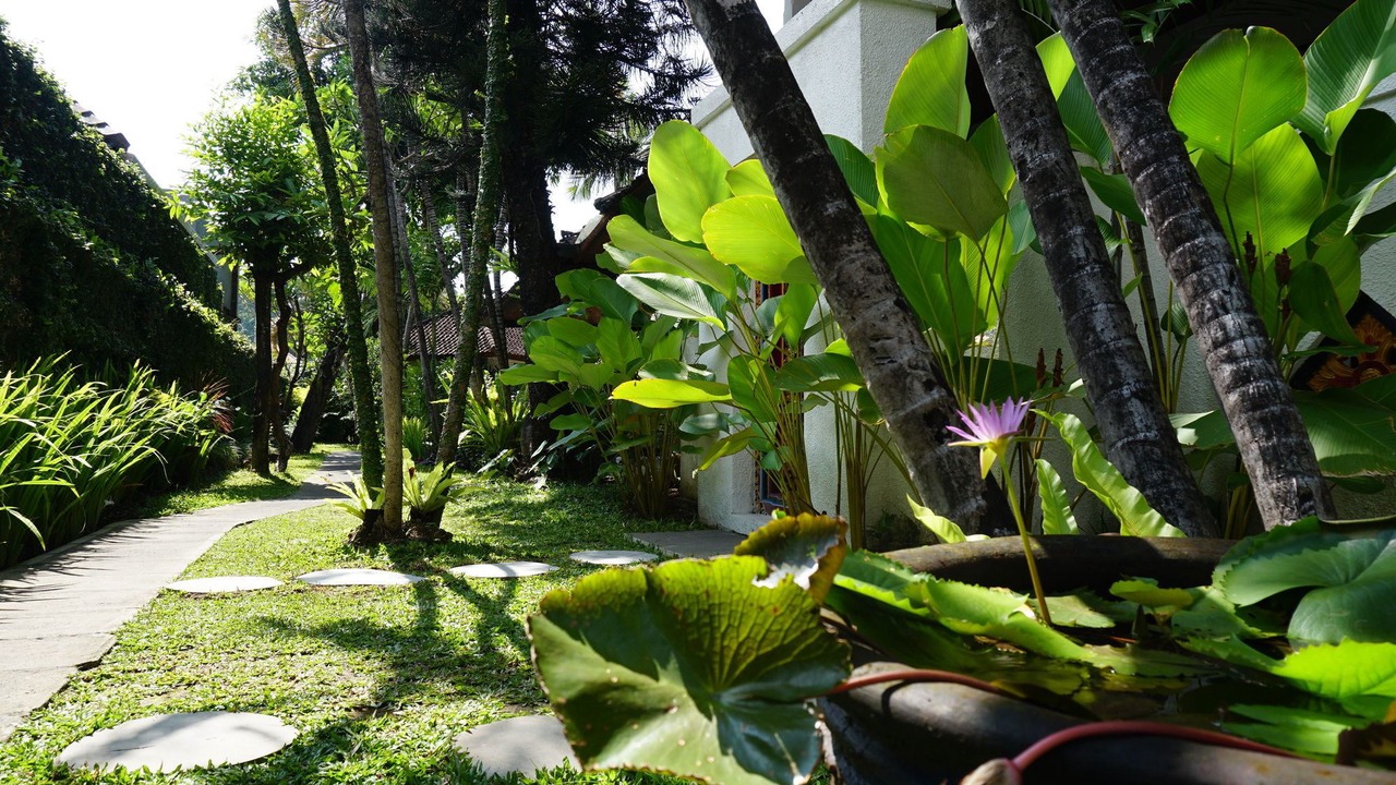 Photo of Others in Sanur