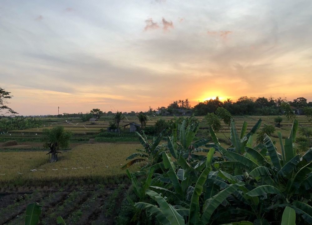 Photo of Outdoor in Babakan