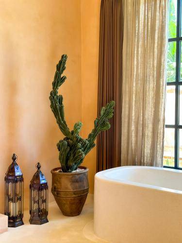 Photo of Bathroom in Pererenan