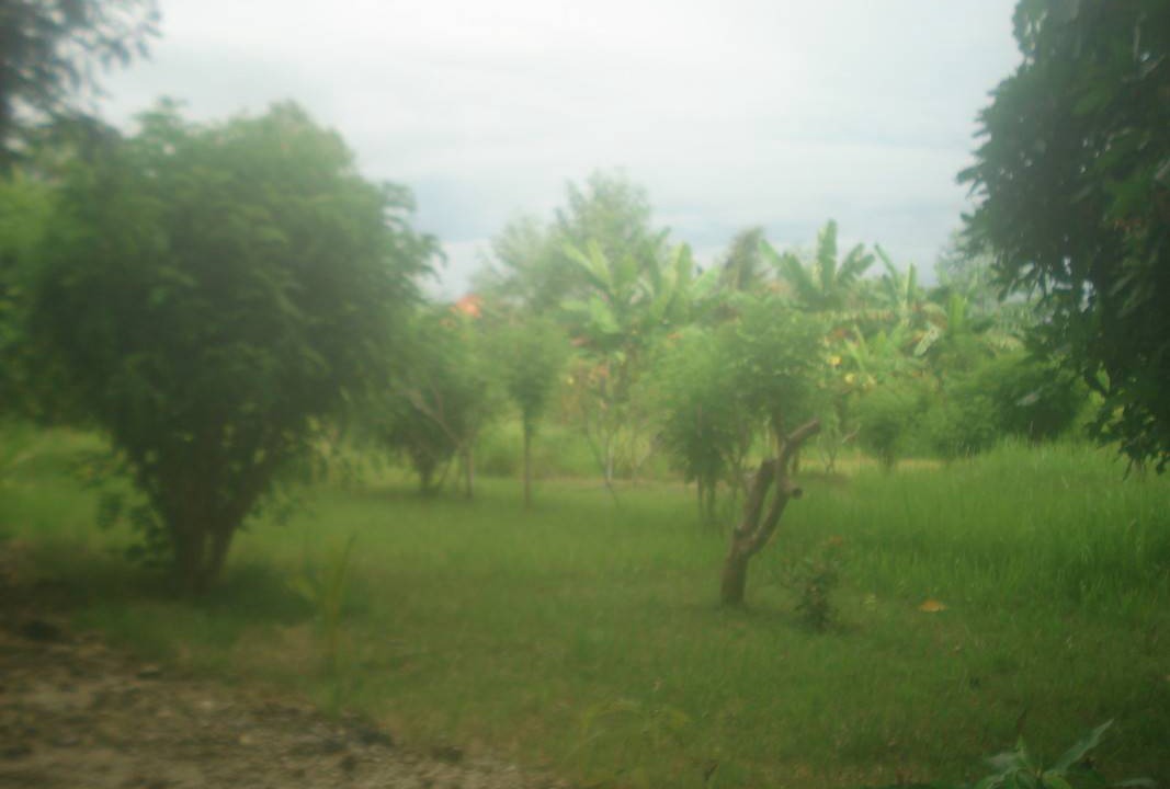 Photo of Others in Kampial