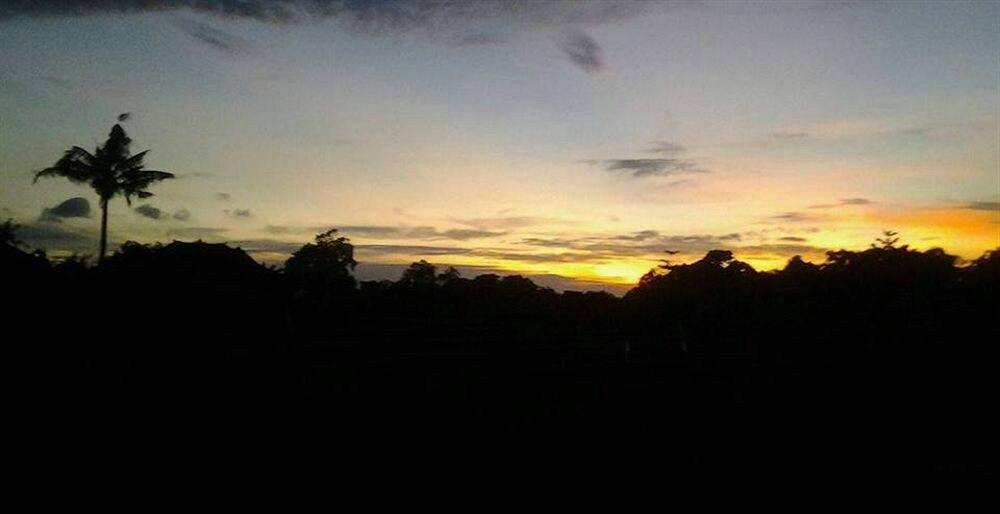 Photo of Outdoor in Kerobokan