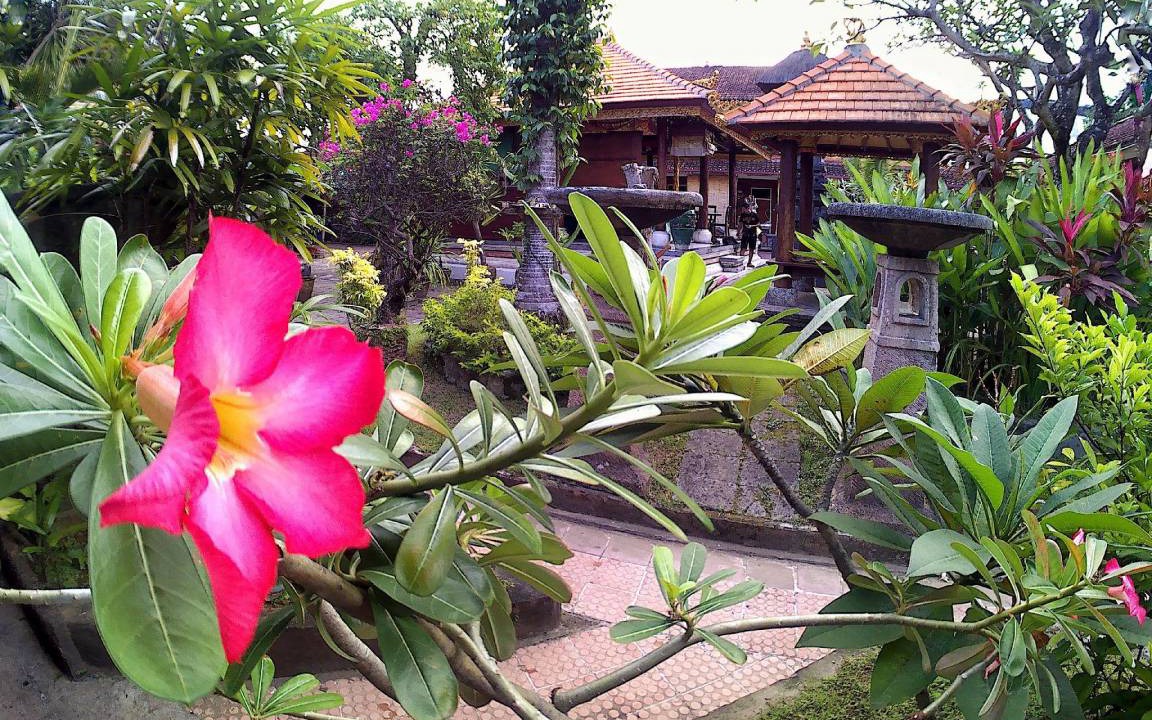 Photo of Others in Raya Kuta