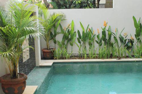 Photo of Outdoor in Kartika Plaza