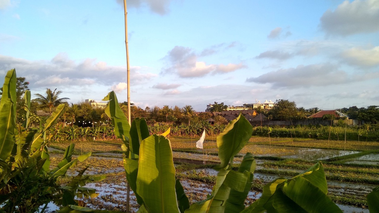 Photo of Others in Batubelig