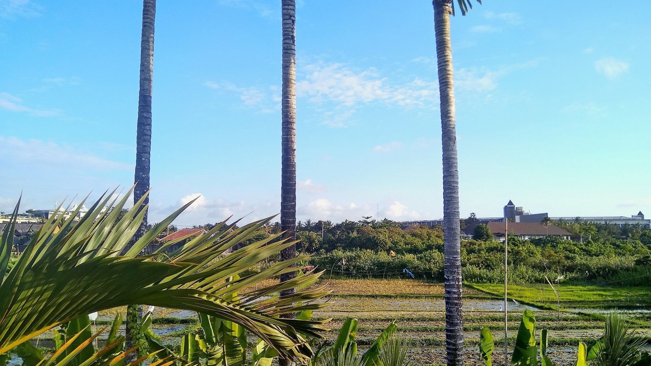 Photo of Others in Batubelig