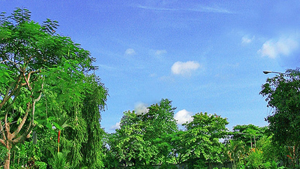Photo of Others in Mataram