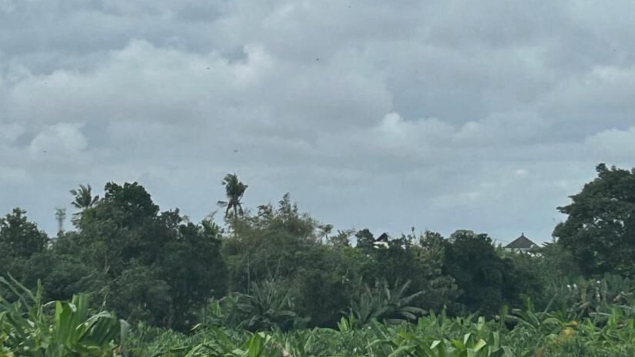 Photo of Others in Padonan